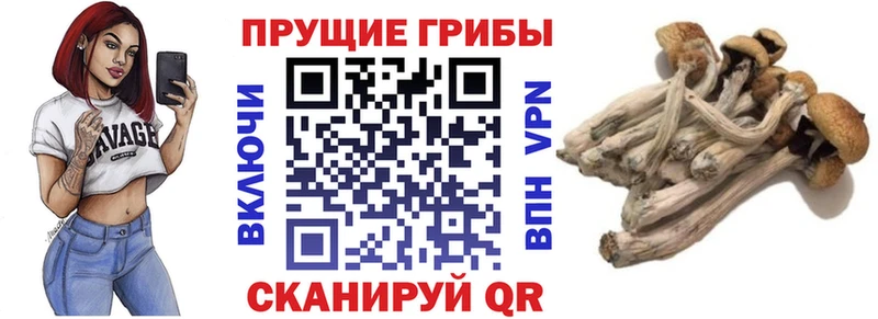 где продают Миллерово Галлюциногенные грибы ЛСД